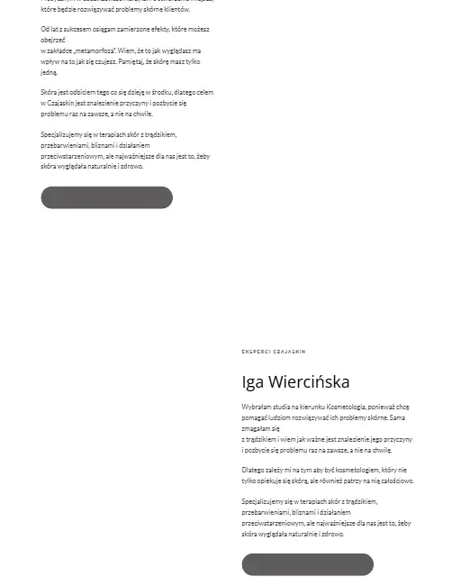 Czajaskin – sekcja oferty